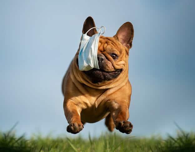 Storage King USA Extends ‘Squash COVID’ Face-Mask Contest