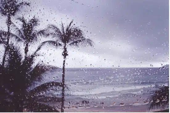 Graphic for Do I Need Hurricane-Proof Self Storage?