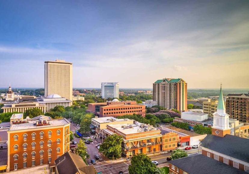 Illustration for A Guide to Fall and Winter Activities in Tallahassee, FL